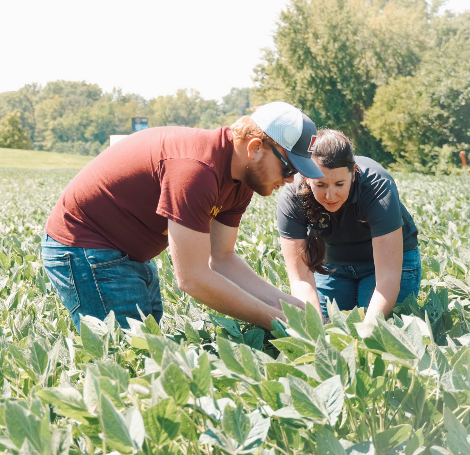 bps/students-inspect-plants